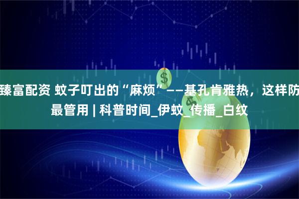臻富配资 蚊子叮出的“麻烦”——基孔肯雅热，这样防最管用 | 科普时间_伊蚊_传播_白纹