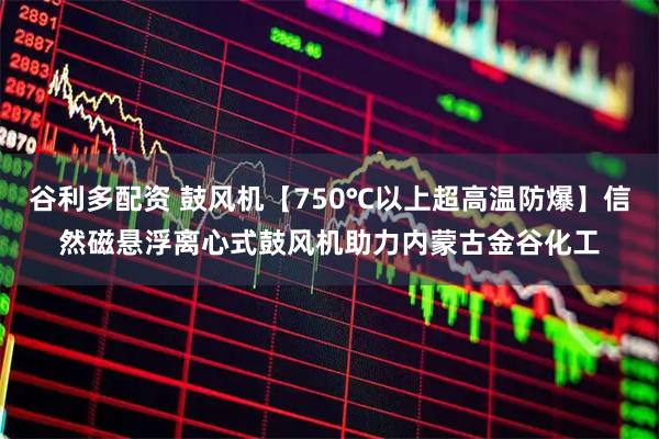 谷利多配资 鼓风机【750℃以上超高温防爆】信然磁悬浮离心式鼓风机助力内蒙古金谷化工