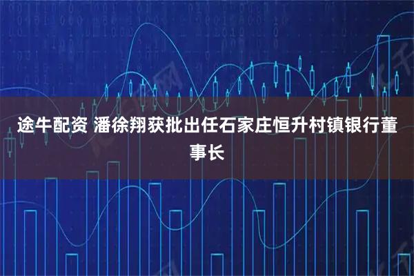 途牛配资 潘徐翔获批出任石家庄恒升村镇银行董事长