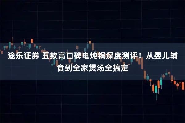 途乐证券 五款高口碑电炖锅深度测评！从婴儿辅食到全家煲汤全搞定