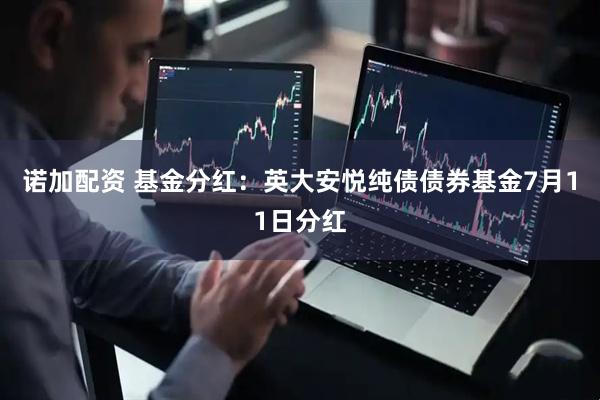 诺加配资 基金分红:英大安悦纯债债券基金7月11日分红